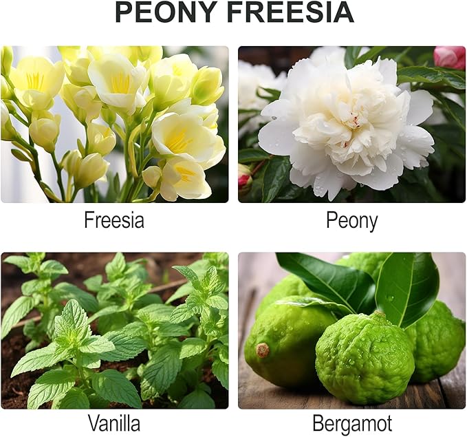 L'odeur Vill Reed Diffuser Set, 6.7 oz(200ml) Peony Freesia Scented Diffuser with 6 Oil Diffuser Sticks, Home Fragrance Essential Oil Reed Diffuser for Home Large Rooms Bathroom Shelf Decor