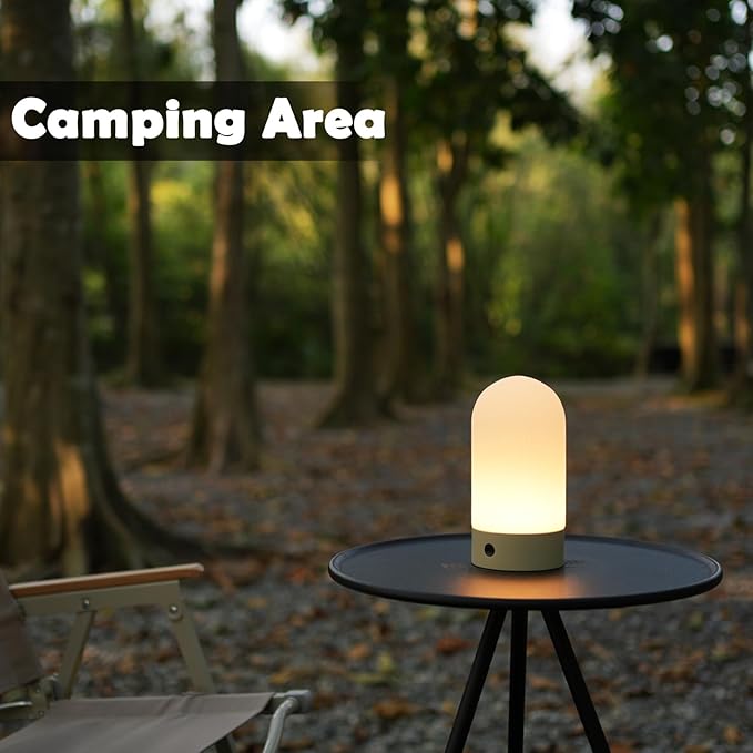 Battery Operated Shower Lamp Waterproof, Small Portable Cordless Table Lamp Rechargeable, Touch Dimmable Mood Light for Home/Patio/Dining/Outdoor (White)