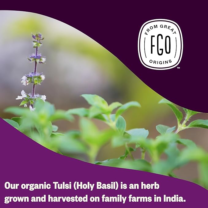 FGO Organic Tulsi Holy Basil Tea, 100 Count, Eco-Conscious Herbal Tea Bags, Resealable Bag, Caffeine Free, Packaging May Vary (Pack of 1)