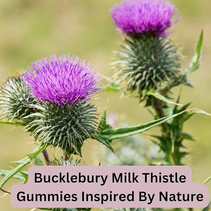 Bucklebury Sugar-Free Milk Thistle Gummies 1000mg with Natural Blueberry Flavor - Vegan, Gluten-Free, Non-GMO Natural Milk Thistle Supplement for Liver Health, Immunity & Antioxidant Support -60 Count
