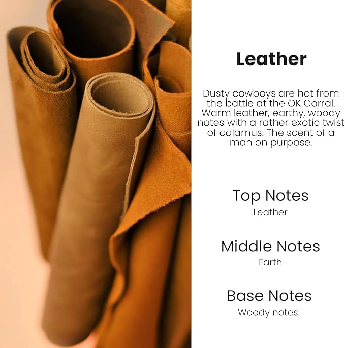 Car Air Freshener Hanging,Cute Air Diffuser for Car, Long Lasting Car Air Fresheners, Car Fresheners for Women, Made in USA (2 Pack)