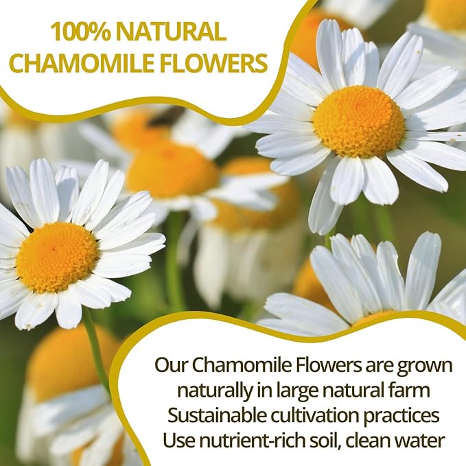 VIDA FARM 100 Chamomile Tea Bags, Natural Chamomile Flowers Tea Bags, Dried Herbal Flowers, Sugar Free, Caffeine Free, Gluten Free