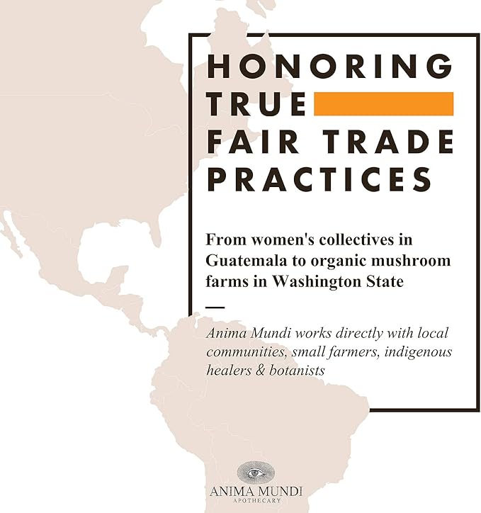 Anima Mundi Apothecary Viridem Greens Detox Elixir - GI & Liver Detox Liquid Supplement, Natural Herb Cleanse with Chlorophyll, Moringa + Organic Chlorella - Add to Juice & Teas (4oz / 118ml)