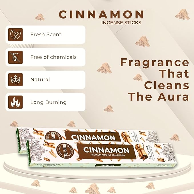 Cinnamon Incense Sticks - Incienso de Canela - Total 120 Insence-Sticks - 6 Packs of 20 Insense - Inciensos - Inscents - Natural Non Toxic Ingredients - Incents - Incence - Inscense