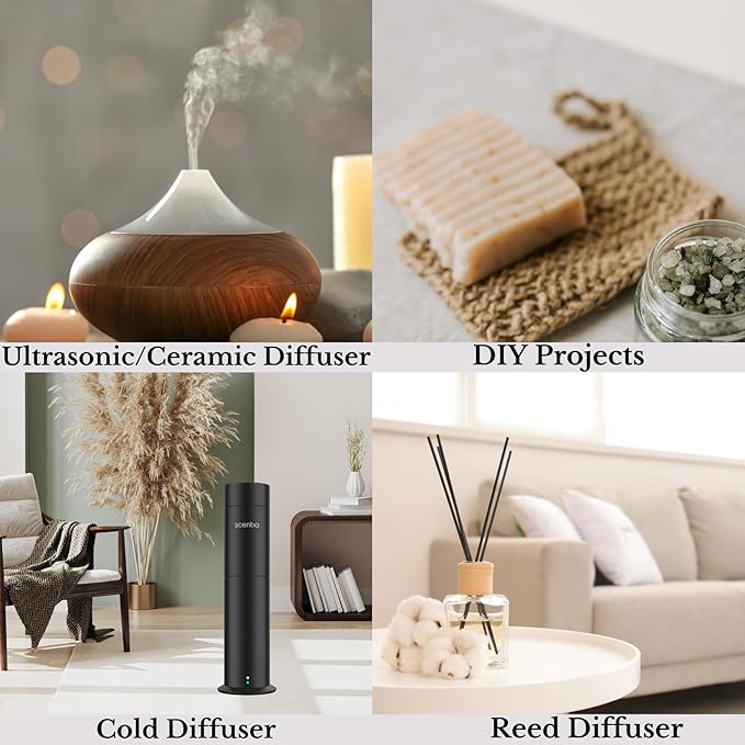 Fierce-Inspired Diffuser Oil - Scentia You Fragrance Oil Perfume Dupe - 50mL, 1.69 Fl oz Diﬀusers - A & F Inspired Natural Essential Scented Oil - Best for Aromatherapy, SPA and Home, Mothers Day Gift