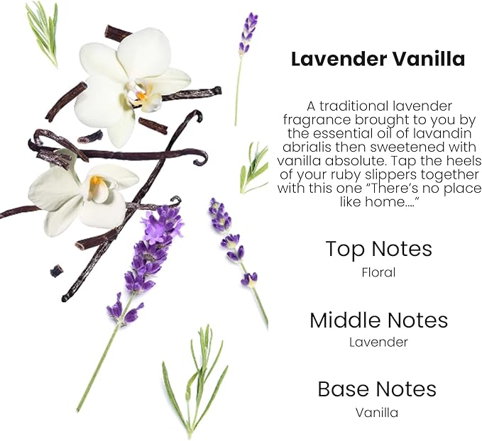 Car Air Freshener Hanging,Cute Air Diffuser for Car, Long Lasting Car Air Fresheners, Car Fresheners for Women, Made in USA(2 Pack)