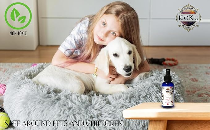 Water Lily Jasmine Air Freshener - Room Spray - Odor Eliminator - Deodorizer - Car Air Freshener - Home Spray - Linen Spray - Fabric Refresher - None Toxic - Alcohol Free - Made in USA (4 Oz)