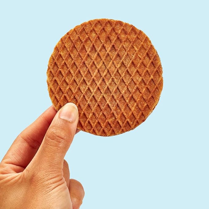 Rip Van Wafels Honey & Oats Stroopwafels - Healthy Snacks - Non GMO Snack - Keto Friendly - Office Snacks - Low Sugar (3g) - Low Calorie Snack - 48 Count (Pack of 1)