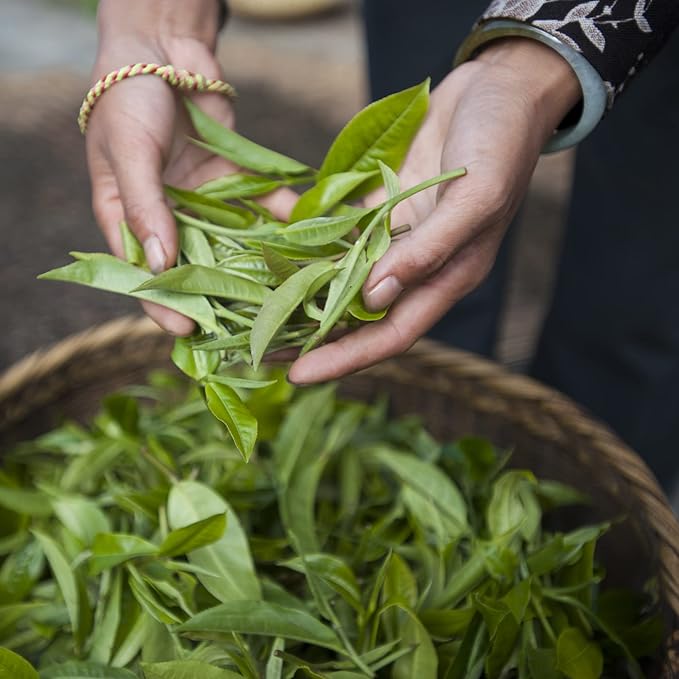 Palais des Thés - Organic L'Herboriste N°108 - Herbal Tea with Lemon Verbena, Orange & Mint - Premium Tea Bags, Serves 20 Cups