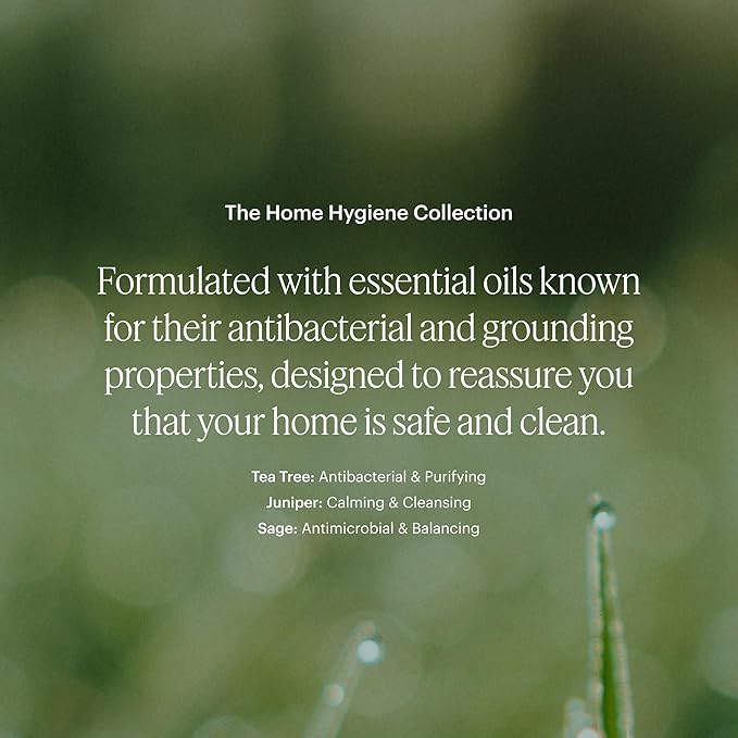 Aera Home Hygiene Tea Tree and Juniper - Essential Oil for Home - Calming Fragrance - Notes of Tea Tree, Juniper and Sage Essential Oils - Scent Refill - Capsule Size Works with Mini Diffuser