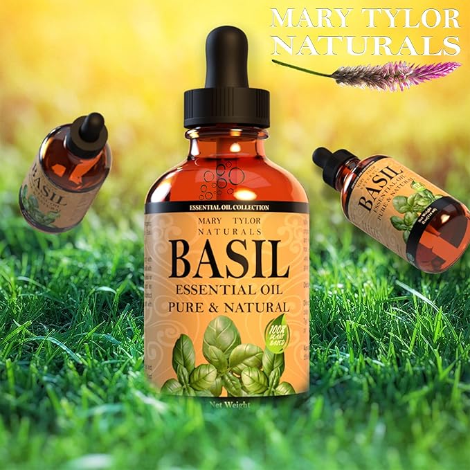 Basil Essential Oil (1 oz), Premium Therapeutic Grade, 100% Pure and Natural, Perfect for Aromatherapy, DIY Projects and Much More by Mary Tylor Naturals