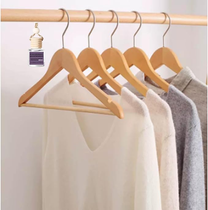 2Pack Wild Berries and Raspberries Scented Automotive Air Freshener Set, Car Accessories Decoration Hanging Scented Car Diffuser for Men Women