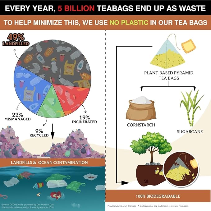 BREWIX, Masala Chai Tea Bags (25 Pyramid Tea Bags) Strong, Robust & Spicy - Pure Ingredients | Black Tea, Cinnamon, Ginger, Black Pepper, Cardamom & Cloves, Packed in Resealable Ziplock Pouch