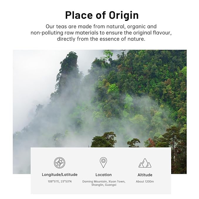 iTeaworld China Lapsang Souchong Loose Leaf Black Tea No smoky flavor smooth light floral and fruity aroma 100g Free 20 Tea Bags