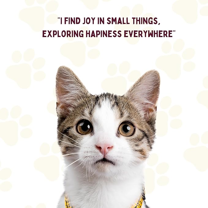 Pawsitive Vibes - Positive Affirmation Cards for Cat Lovers | Daily Inspirational Affirmations & Proven Self-Care Techniques for Stress & Anxiety Relief | Ideal Cat Mom & Cat Dad Gifts