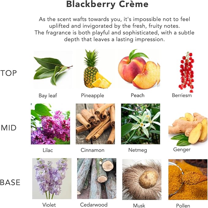 Black Berry Reed Diffusers for Home with Decorative Bottle Diffuser Sticks, Strong Long Lasting Diffuser Oil 180ml, Bathroom Shelf Decor