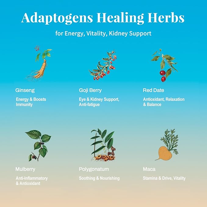 Ginseng Tea Bags - Natural Energy Boost Herbal Tea with Goji Berry & Red Dates, Kidney Tea for Mental Focus, Caffeine F-ree Morning Teas, 10 Counts Starch Bag Gift Box