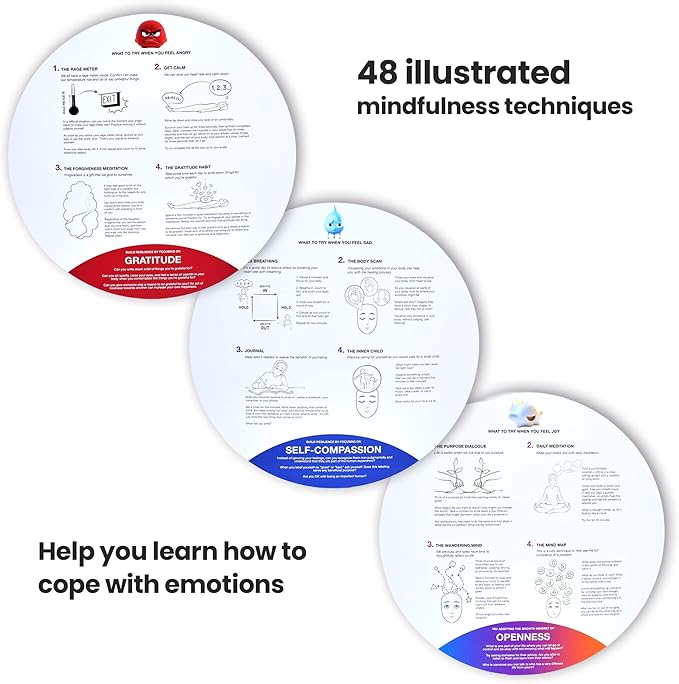 FeelWise Super EQ Kit - For Building Emotional Intelligence - Thirteen 12" Round 2-sided Emotion Wheels w/ Storage Envelope & Instructions - Emotion Learning Games for Kids, Parents, Professionals, Teachers, School Counselor - Screen-Free Activities