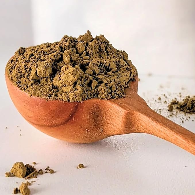 ONE WITH TEA Organic Hojicha Powder, Roasted Matcha Green Tea Powder, Hot or Iced, Made in Japan, Organic Hojicha 2 OZ