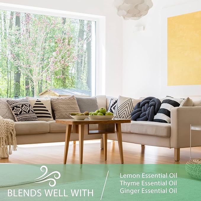 Camphor Essential Oil, 1.01Fl.Oz (30ML) PHATOIL Pure Essential Oil Singles for Aromatherapy Diffusers, Humidifiers, Great for DIY Candle and Soap Making, Gift for Friend