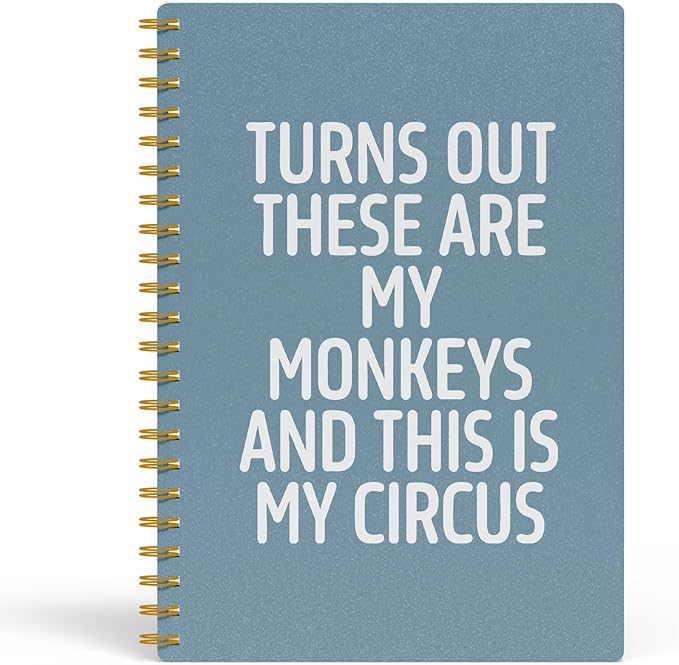 EKGJW Funny Notebooks for Work,Blue Aesthetic Journal, Funny Boss Day Gifts, Boss Gifts for Men Women, Funny Gifts for Boss, Boss Office Decor, Spiral Notebook 5.5x8.3 Inch