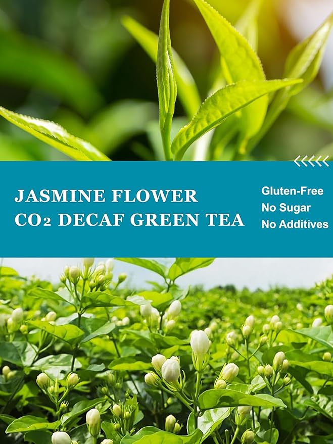HYNTMYT Decaffeinated Jasmine Green Tea Bags, CO₂ Decaf Green Tea Scented with Jasmine Flower, Natural Floral Aroma, Fragrant, 120 Count