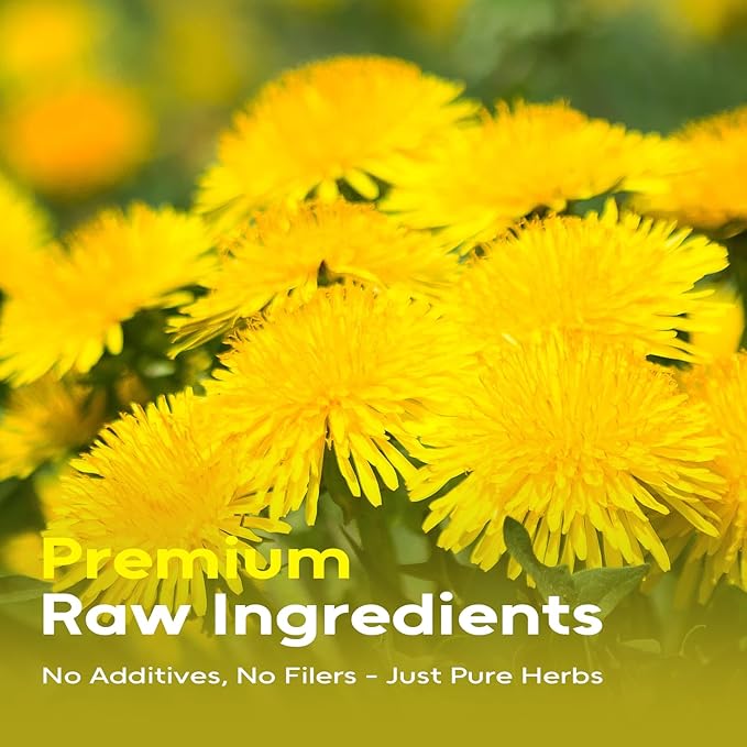 FullChea - Dandelion Leaf & Root Tea Bags, 100 Teabags, 1.5g/bag - Natural Dandelion Herbal Tea for Liver & Kidney Health - Non-GMO - Caffeine-free - Support Digestion & Boost Immune System