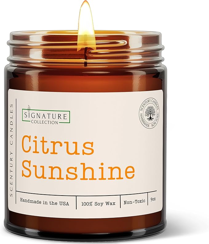 Citrus Sunshine Scented Candle, Many Scents to Choose from, All Natural Non-Toxic Soy Wax, Handmade in The USA (Citrus Sunshine)
