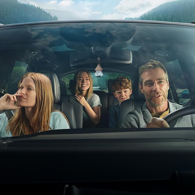 Car Air Freshener Hanging, 2 Pcs Ebony Agarwood Drift Car Air Freshener, Wooden Fragrance Expanding Bottle Cap, 10ml Per Bottle, Used for Car Decoration and Fresh Air (Ebony agarwood)