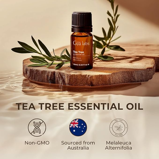 Gya Labs Australian Tea Tree Essential Oil - 0.34 Fl Oz - for Hair, Skin, Diffuser, Aromatherapy & DIY Candle Making Scent
