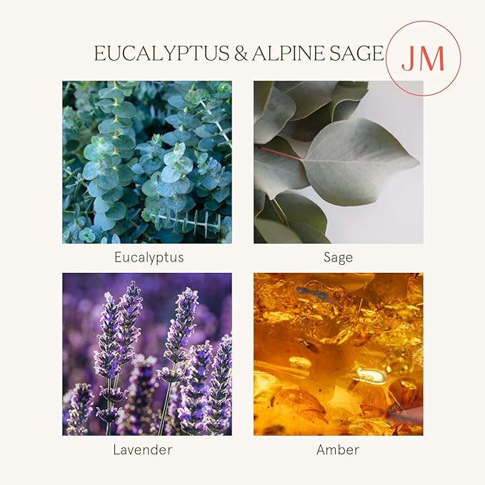 LA JOLIE MUSE Eucalyptus & Alpine Sage Candle, Scented Candles for Home, Candle Gifts for Women & Men, Glass Jar Candle, 40 Hours Burning Time, 7oz