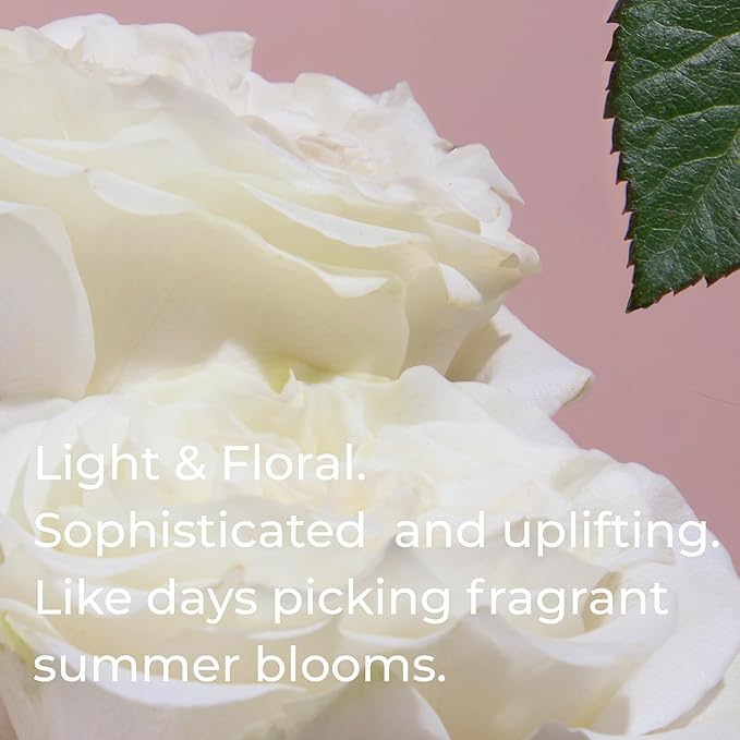 Bright Spot Floral Car Fragrance - Premium Car Hanging Air Freshener, 120 Days Long-Lasting Fragrance for Auto and Home | Light & Floral | Cassis, Rose, Tonka Bean | Non-Toxic, Vegan & Cruelty Free