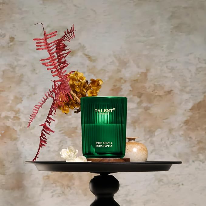 Jar Candles for Home Scented, Aromatherapy Candles Gifts for Women & Men, Natural Soy Candle, 8.4oz Traditional Style, Wild Mint & Eucalyptus
