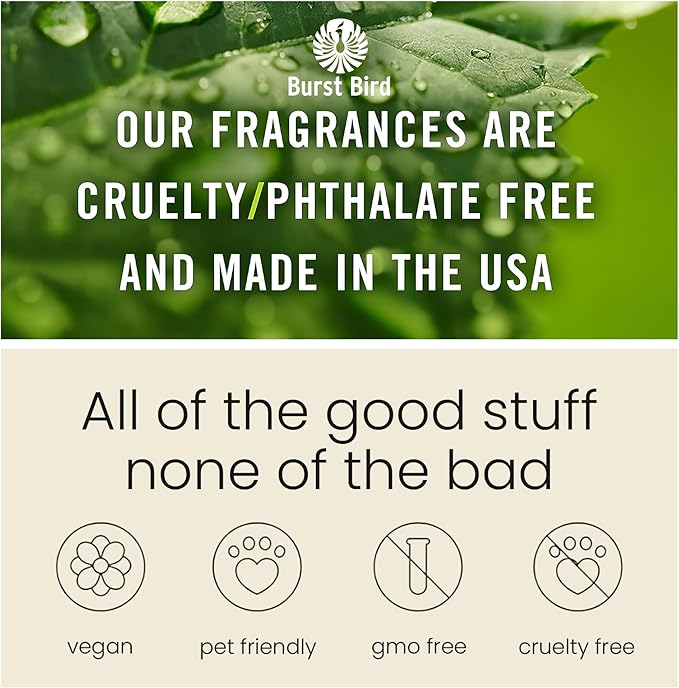 Car Air Freshener Hanging,Cute Air Diffuser for Car, Long Lasting Car Air Fresheners, Car Fresheners for Women, Made in USA(2 Pack)