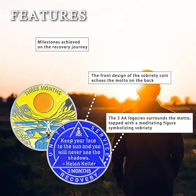 3 Month Sobriety Coin 90 Day Sobriety Chips AA Chip AA Coins Sober Chip Token Recovery Medallion NA Chips NA Coins from 1 to 12 Month Plastic case Included-Baking Paint Process