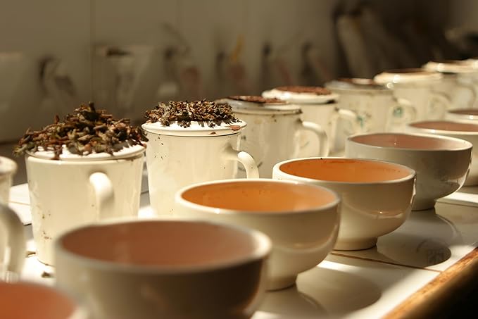 U.S. Wellness Naturals Irish Breakfast Tea, SMOOTH, RICH & WELL-ROUNDED loose leaf tea, 110+ cups, 8oz, 100% ORGANIC CEYLON (2 Estate Blend), fresh new harvest, OP grade tea