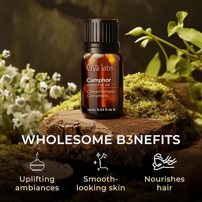 Gya Labs Camphor Essential Oil - 0.34 Fl Oz - for Hair, Skin, Diffuser, Aromatherapy & DIY Candle Making Scent