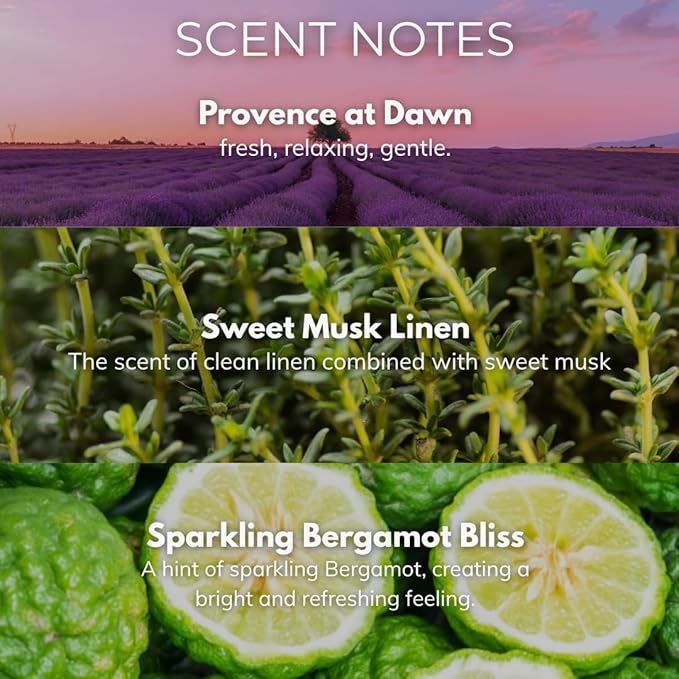 Fresh Lavender Candle 22oz Glass Jar with Wooden Wick in a Decorated Jar Within a Presentation Gift Box and Protective Shipping Box