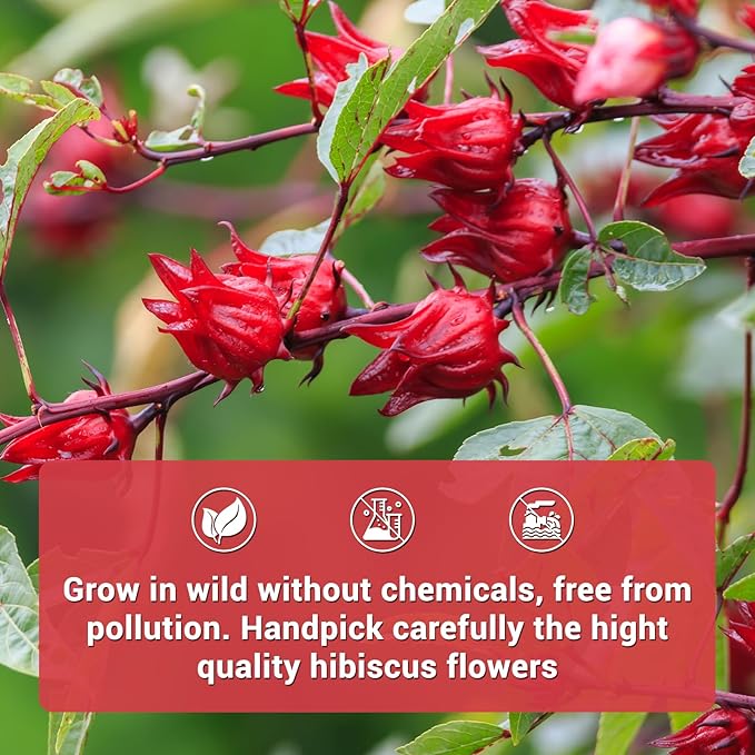 Hibiscus Tea Bags, 100% Natural Hibiscus Flowers Herbal Tea Supports Heart Health, Boosts Immune，Caffeine Free, Non-GMO, No Sugar（1 Pack/50 Bags)