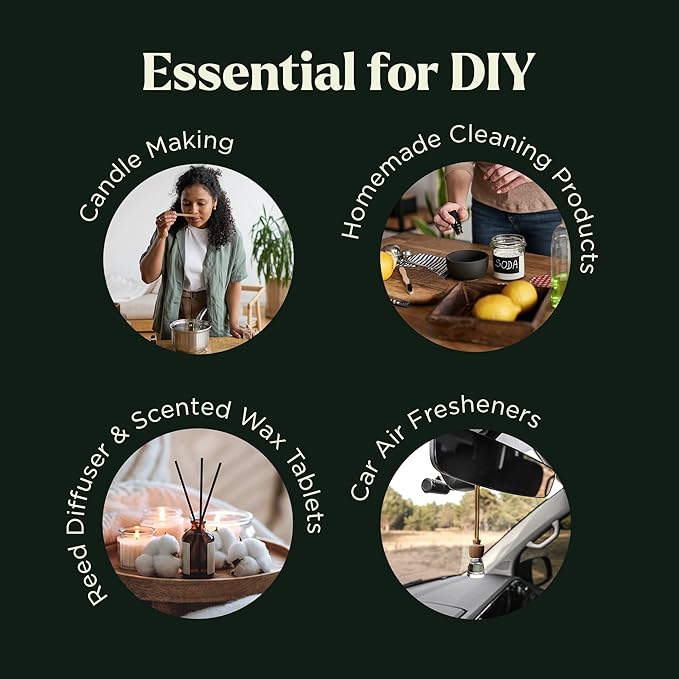 Lagunamoon Summer Essential Oils Set - Holiday Breeze Gift Set for Diffusers, Home Care, Candle Making, Fragrance, Aromatherapy, Humidifiers, Gifts - Coconut, Pineapple, and Grapefruit (10ml)