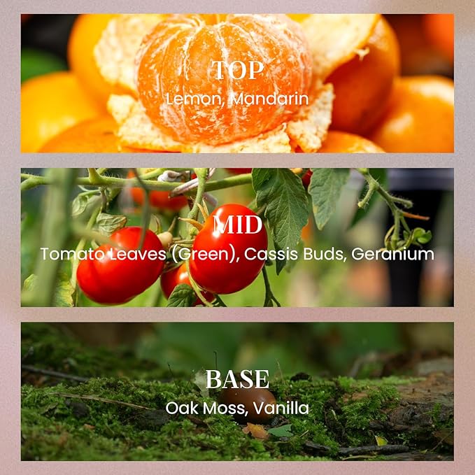 M&SENSE Tomato Leaf Candles for Home Scented, 2 Wick 12.7oz Soy Wax Candles Non Toxic,70 Hours Long Burning,Luxury Candles Gift for Stress Relief, Meditation, Yoga