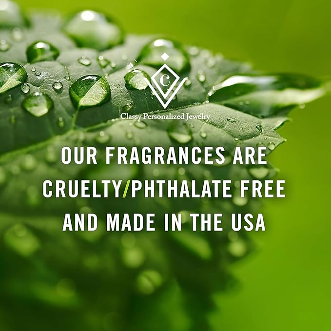 Car Air Freshener Hanging, Essential Oil Diffuser for Car, Long Lasting Air Freshener For Women, 2 Pack,Made in USA