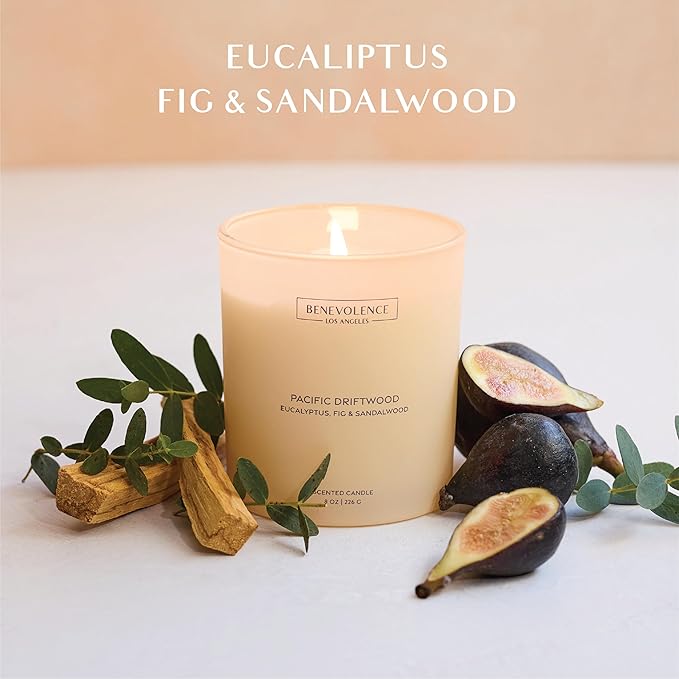 Eucalyptus, Fig & Sandalwood – Benevolence LA Fall Scented Candle for Home | 8oz, 45-Hour Burn | Natural Soy Wax, Cotton Wick | Fresh Autumn Fragrance | Malibu Sands Collection – Gift for Women & Men