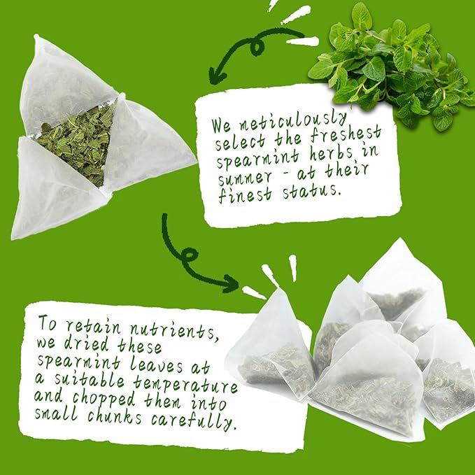 Jarteela - Spearmint Tea Bag, 1.5g x 60 Count - Pure Spearmint Leaves - Natural Herbal Tea Bags for Digestion - Non-GMO - Caffeine-free Tea