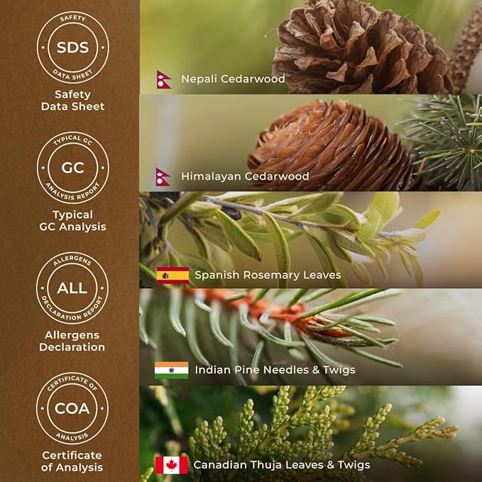 Gya Labs Fresh Forest Essential Oil Blend for Diffuser - Fresh Forest Oil for Aromatherapy, Candle & DIY - 100% Pure Natural Ingredients of Rosemary, Pine Needle, Cedarwood & Thuja(0.34 Fl Oz)