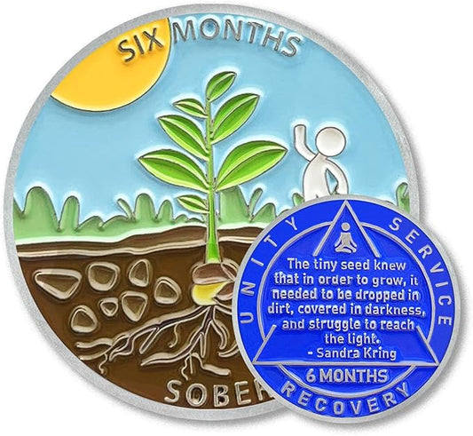 6 Month Sobriety Coin Sobriety Chips AA Chip AA Coins Sober Token Recovery Medallion NA Chips NA Coins from 1 to 12 Months Plastic case Included-Baking Paint Process