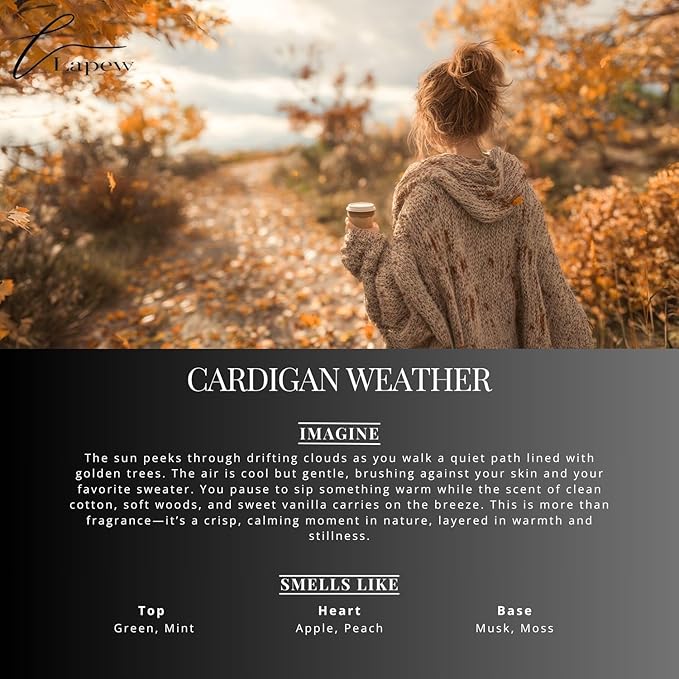 Car Air Freshener Diffuser – 2 Pack Hanging Air Freshener Diffuser (.34 Oz, Cardigan Weather (Sweater Weather))