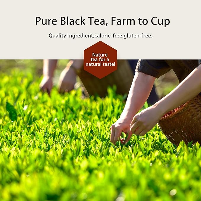 GTGLOTRA Full-Leaf Black Tea, 72 Pyramid Bags (12 Pack), Easy Brew, 100% Natural, Low Caffeine, Caffeine Alternative to Coffee, Biodegradable Tea Whole Leaf Tea Sampler, Family Size, Office Reception,Daily Consumption,Gifts