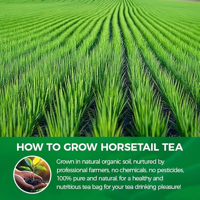 WOTIHA-Natural Horsetail tea 90g. 60 Herbal Tea Bags.100% Wild Natural Horse Tail Herb Helps Promote Hair Growth .Non-GMO • Additive-Free • Caffeine-Free • Sugar-Free • Vegan