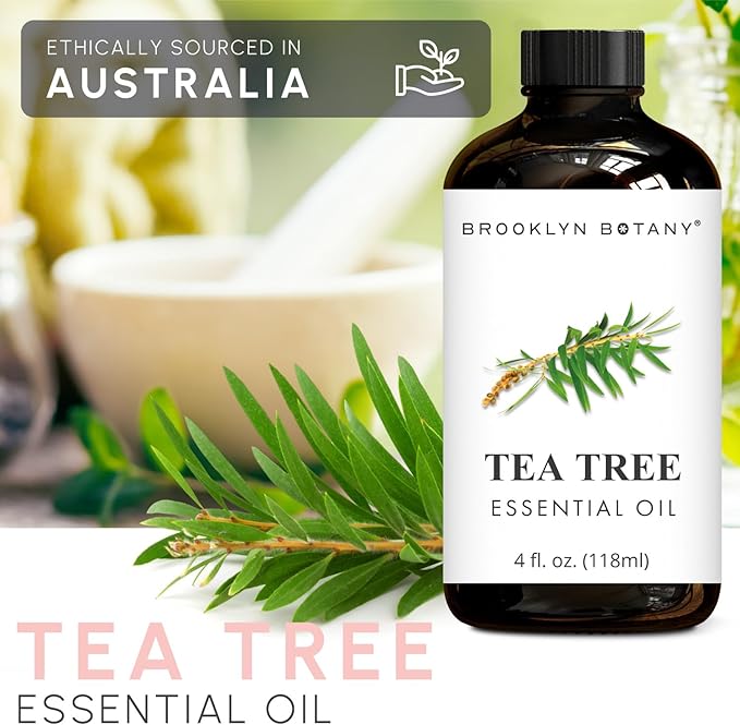 Brooklyn Botany Tea Tree Essential Oil - Huge 4 Fl Oz - 100% Pure and Natural - Premium Grade with Dropper - for Aromatherapy and Diffuser